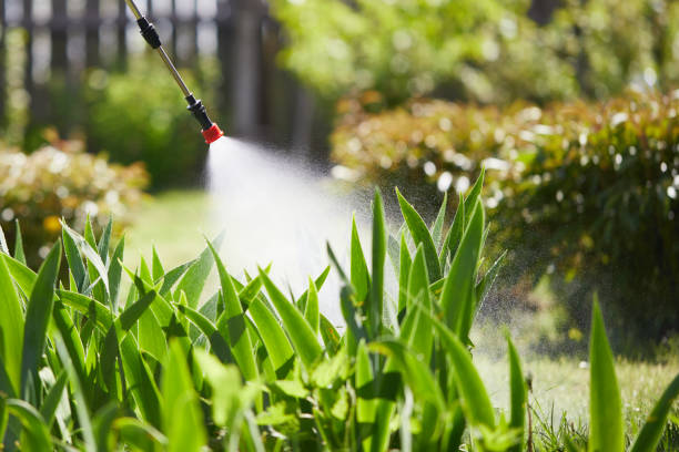 24/7 Emergency Termite Control experts in Humboldt Hill, CA
