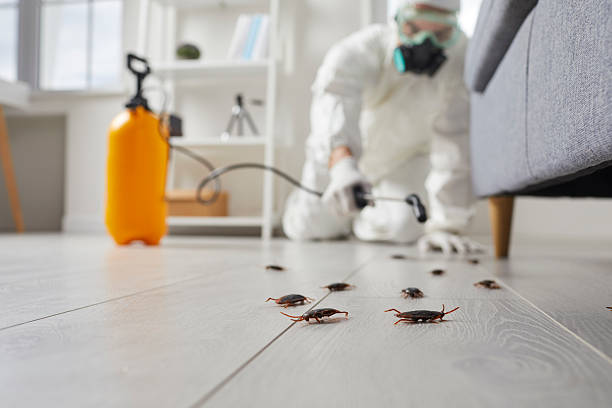 Trusted Fumigation Services service in Humboldt Hill, CA - Nex Pest Control