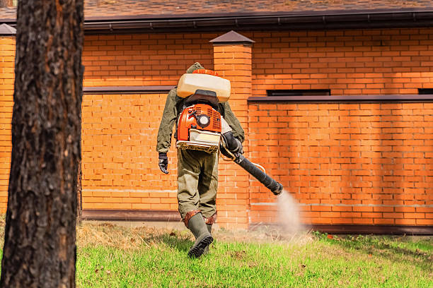 Trusted Emergency Pest Control service in Humboldt Hill, CA - Nex Pest Control